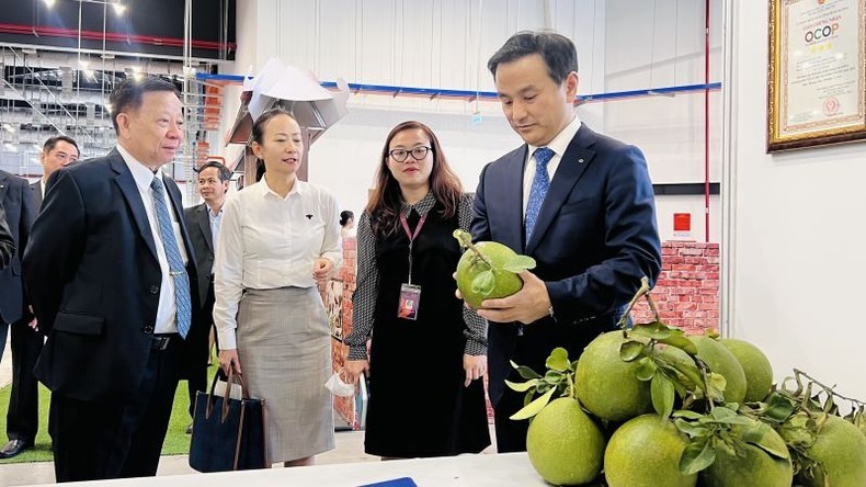 El gobernador de la prefectura de Yamaguchi, Muraoka Tsugumasa, y los ejecutivos de la corporación Becamex IDC visitan el stand de productos OCOP de la provincia de Binh Duong en noviembre de 2022.