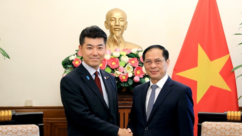 El ministro de Relaciones Exteriores de Vietnam, Bui Thanh Son, recibe al presidente del Partido Democrático Constitucional de Japón, Izumi Kenta (Fotografía: baoquocte.vn)