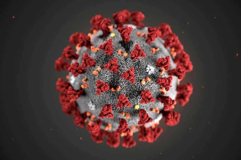 Virus SARS-CoV-2. (Fotografía: Reuters)
