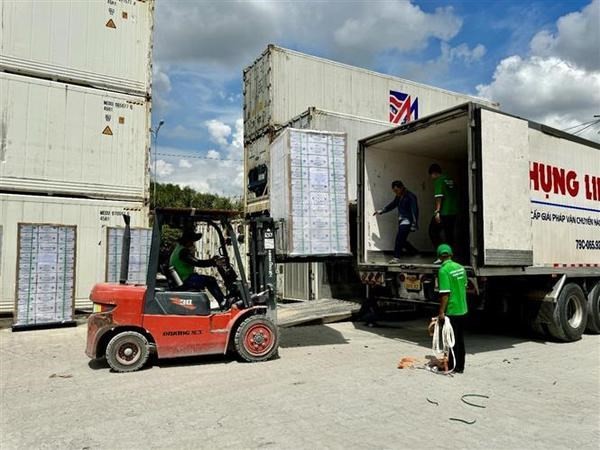 La empresa vietnamita de Tra Vinh FARM (Sokfarm) exporta el primer lote de unos 200 mil botellas de néctar de coco a Estados Unidos. (Fotografía: VNA)