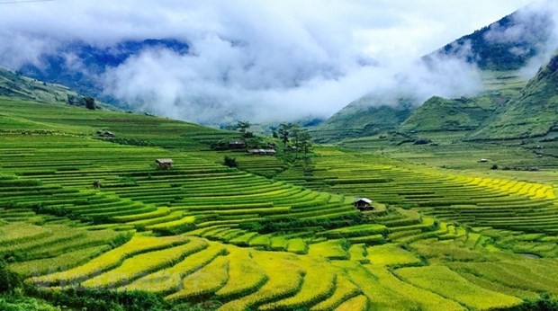 Los arrozales en Mu Cang Chai de la provincia de Yen Bai (Fotografía: VNA)