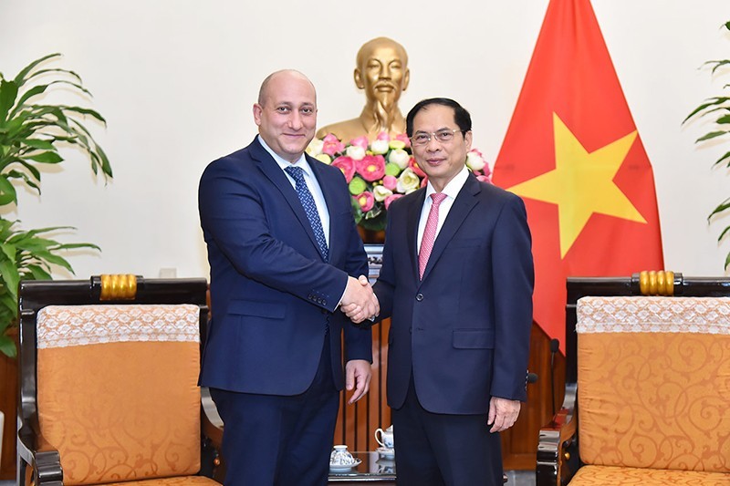 El ministro de Relaciones Exteriores de Vietnam, Bui Thanh Son, y viceministro de Relaciones Exteriores de Georgia, Alexander Khvtisiashvili (Fotografía: Ministerio de Relaciones Exteriores de Vietnam)