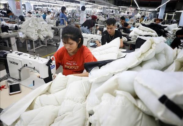 Producen prendas de alta calidad para exportar al mercado surcoreano en empresa vietnamita de Bac Giang. (Foto: VNA)