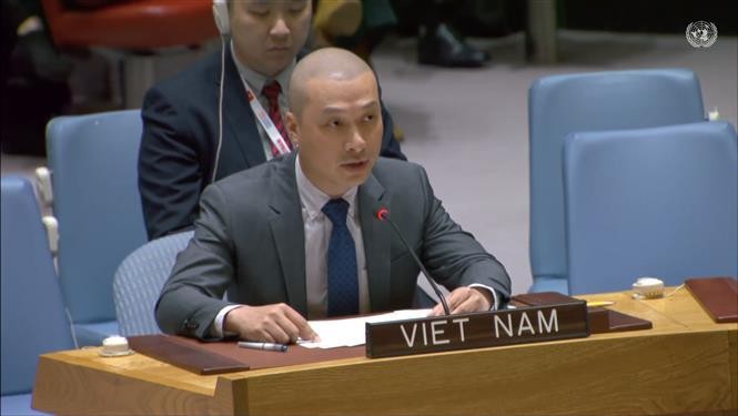 Nguyen Hoang Nguyen, subjefe de la delegación permanente de Vietnam ante las Naciones Unidas (Foto: VNA)