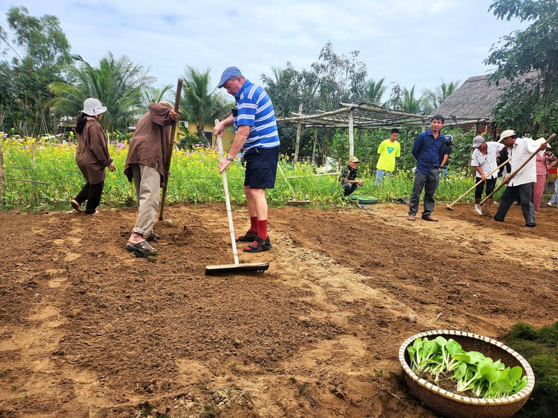 Turistas extranjeros experimentan cultivo de verduras en la aldea de Tra Que. (Foto: baoquangnam.vn)