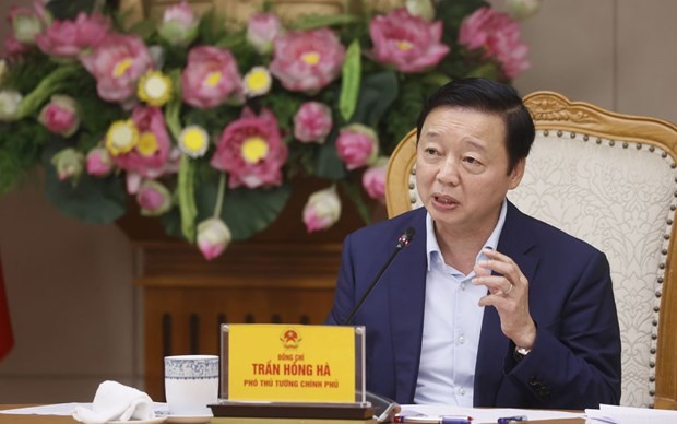 El viceprimer ministro vietnamita Tran Hong Ha (Foto: VNA)