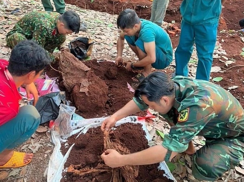 Despliegan trabajo de búsqueda de restos de mártires en Camboya en 2023-2024 (Foto: VNA)