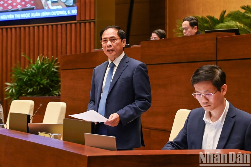 El ministro de Relaciones Exteriores de Vietnam, Bui Thanh Son, responde a las preguntas de los diputados de la Asamblea Nacional. (Foto: VNA)