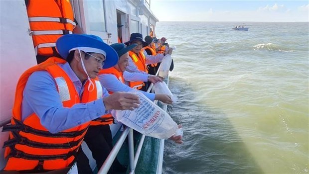 Los alevines de camarón son liberados al mar en la provincia sureña de Bac Lieu. (Foto: VNA)
