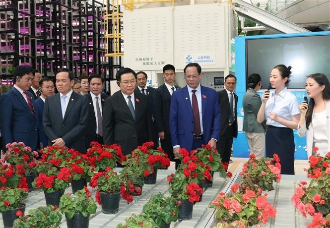 El presidente de la Asamblea Nacional de Vietnam, Vuong Dinh Hue, visita el Centro de servicios de innovación en la agricultura verde del Grupo Yun Tian Hua en la provincia de Yunnan. (Foto: VNA)