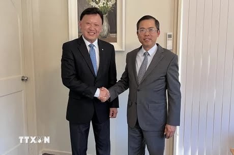 El embajador de Vietnam en Australia, Pham Hung Tam, recibe a Francis Wong, presidente del Consejo de Negocios de Australia Meridional - Vietnam. (Foto: VNA)