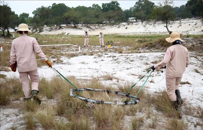 Realizan tareas de remoción de minas y bombas en Vietnam (Foto:VNA)