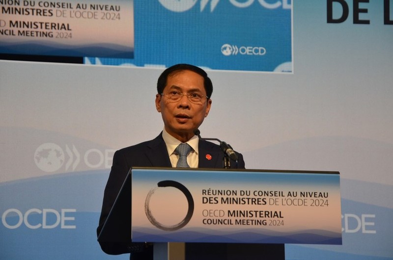 El ministro de Relaciones Exteriores de Vietnam, Bui Thanh Son, habla en el evento. (Foto: VNA)