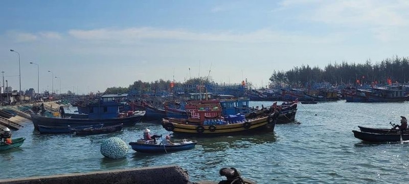 Ba Ria-Vung Tau intensifica esfuerzos para combatir pesca ilegal (Foto: VNA)
