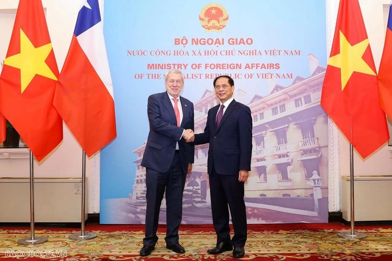 El ministro vietnamita de Relaciones Exteriores de Vietnam, Bui Thanh Son, recibe a su homólogo chileno, Alberto Van Klaveren. (Foto: baoquocte.vn)