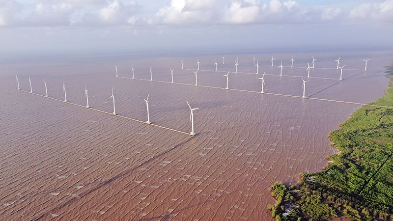 Energía eólica marina: nueva fuerza impulsora para sector del petróleo y gas. (Foto: baodautu.vn)