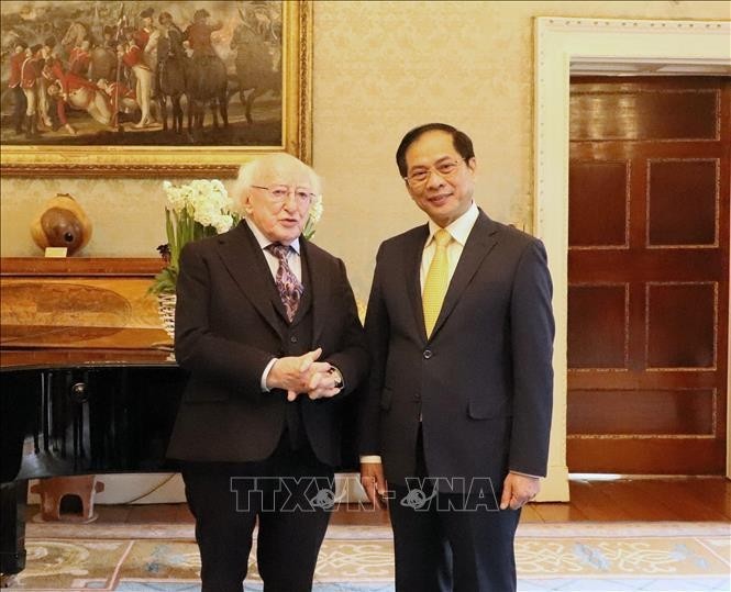 El ministro de Relaciones Exteriores de Vietnam, Bui Thanh Son (actualmente también viceprimer ministro), fue recibido en febrero de 2024 por el presidente de Irlanda, Michael D. Higgins. (Foto: VNA)