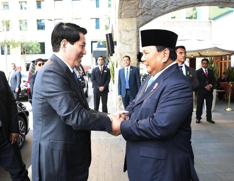 El presidente de Vietnam, Luong Cuong, y el presidente indonesio, Prabowo Subianto.