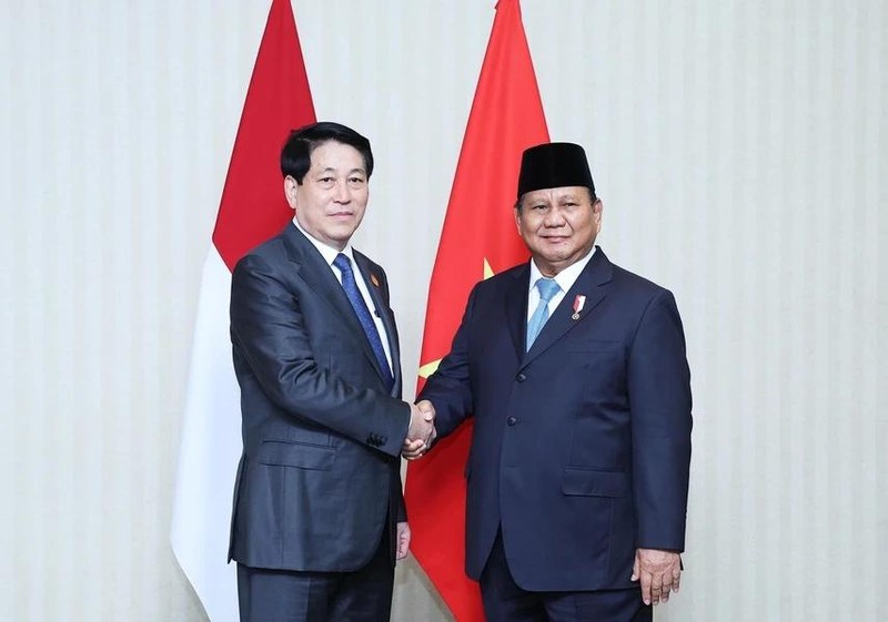 El presidente vietnamita, Luong Cuong, y su homólogo indonesio, Prabowo Subianto. (Foto: VNA)