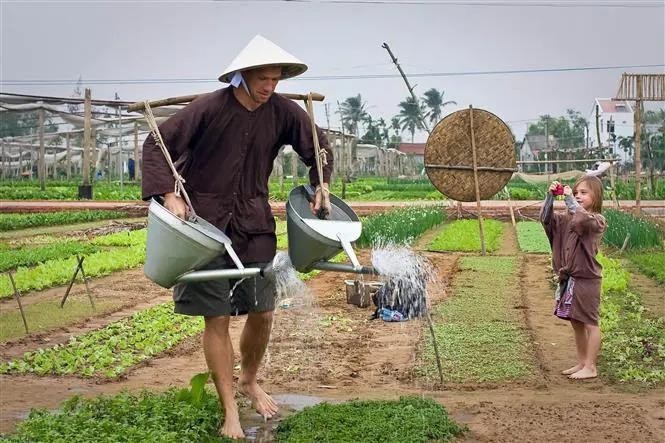 Turistas extranjeros en la aldea de vegetales de Tra Que, en la provincia central de Quang Nam. (Foto: VNA)