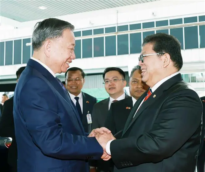 El secretario general del Partido Comunista de Vietnam, To Lam, se reúne con el presidente de la Cámara de Representantes de Malasia, Tan Sri Dato' Johari Bin Abdul. (Foto: VNA)