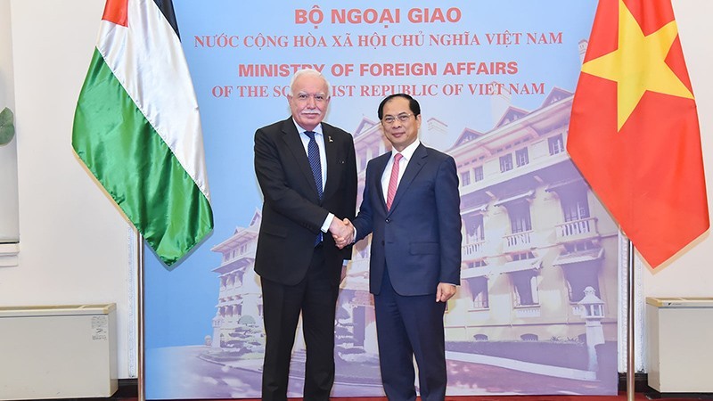 El viceprimer ministro y canciller de Vietnam, Bui Thanh Son, recibe a Riad Malki, asesor del Presidente para Asuntos Internacionales y enviado especial del Estado de Palestina. (Foto: Ministerio de Relaciones Exteriores de Vietnam)