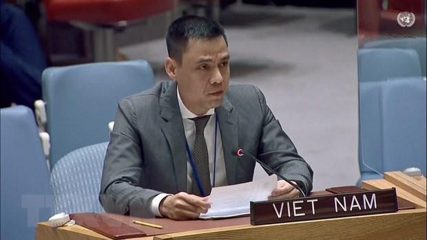 El embajador Dang Hoang Giang, representante permanente de Vietnam ante las Naciones Unidas (ONU). (Fotografía: VNA)