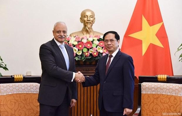 El canciller vietnamita, Bui Thanh Son (derecha) y el asistente del ministro de Relaciones Exteriores de Egipto, Ayman Aly Kamel Aly, (Fotografía: baoquocte.vn)