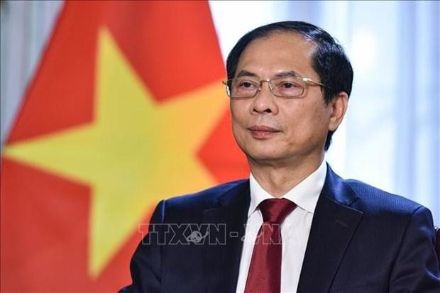 El ministro vietnamita de Relaciones Exteriores de Vietnam, Bui Thanh Son. (Fotografía: VNA)