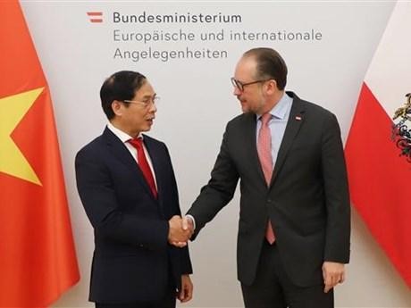 El ministro de Relaciones Exteriores, Bui Thanh Son, y su homólogo austriaco, Alexander Schallenberg. (Fotografía: VNA)