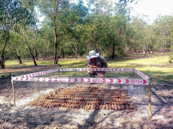 Los detectados en la aldea de An My, comuna de Gio My, distrito de Gio Linh, provincia de Quang Tri. (Fotografía: VNA)