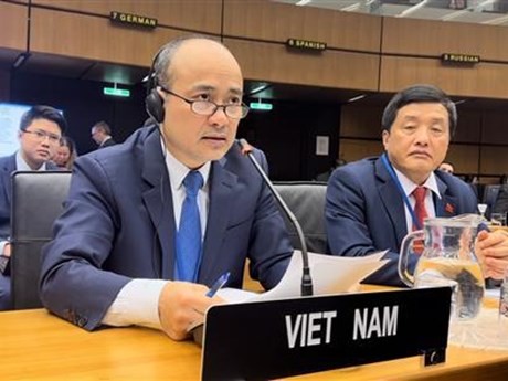 Nguyen Trung Kien, gobernador y representante de Vietnam en el OIEA, participa en la reunión (Foto: VNA)