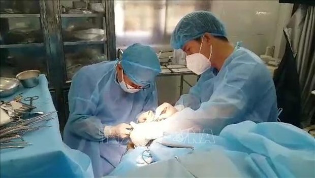 Médicos realizan cirugía de emergencia. (Foto: VNA)