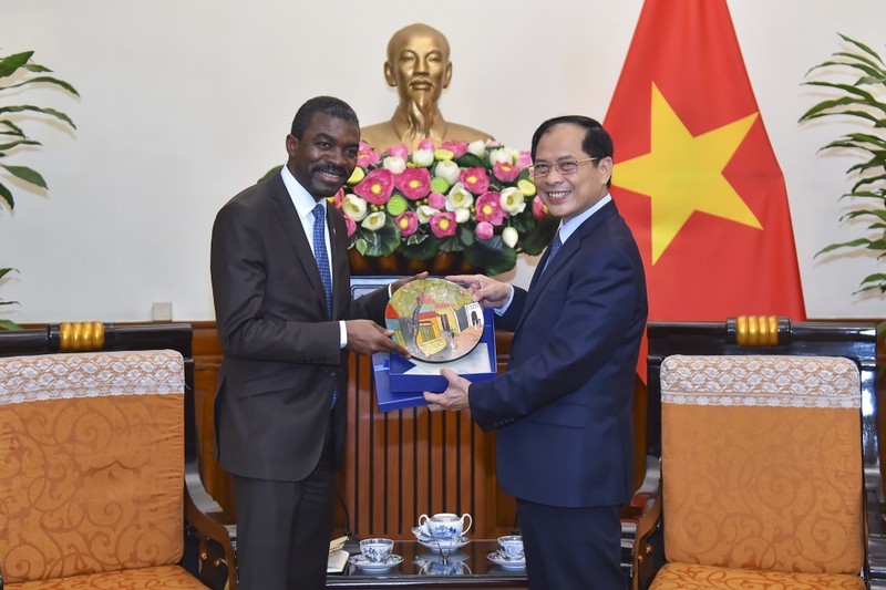 El canciller Bui Thanh Son, recibe a Lazare Eloundou Assomo, jefe del Centro del Patrimonio Mundial. (Fuente: Ministerio de Relaciones Exteriores de Vietnam) 
