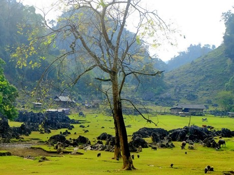 Hang Tau, un pueblo primitivo en Son La (Fuente: VNA)