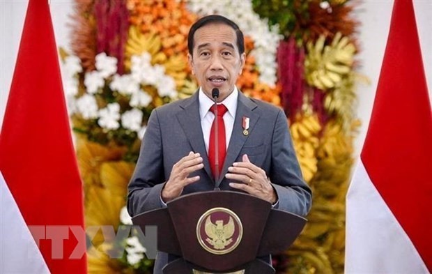 El presidente de Indonesia, Joko Widodo. (Foto: AFP/VNA)