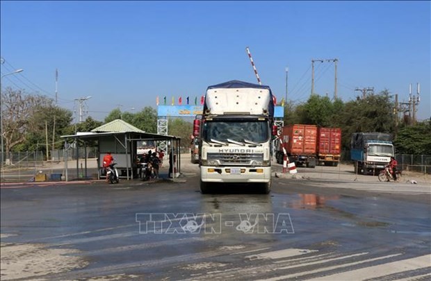 Los guardias fronterizos de Dong Thap controlan estrictamente el área de la puerta fronteriza para evitar eltransporte ilegal de aves de corral a la provincia. (Foto: VNA)