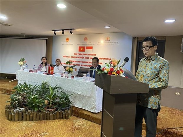 El embajador de Vietnam en Indonesia, Ta Van Thong, habla en el seminario. (Foto: VNA)
