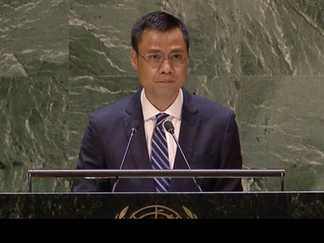El embajador y jefe de la delegación permanente vietnamita ante las Naciones Unidas (ONU), Dang Hoang Giang. (Fuente: VNA)