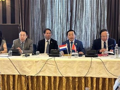 El vicepremier vietnamita Tran Hong Ha en la reunión. (Foto: VNA)