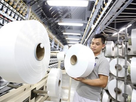 Los productos de fibra de Vietnam se exportan a Chile. (Foto: VNA)