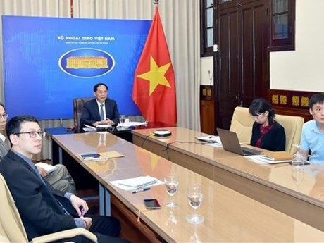 El ministro de Relaciones Exteriores, Bui Thanh Son, encabezó la delegación vietnamita para asistir a la conferencia. (Foto: VNA)