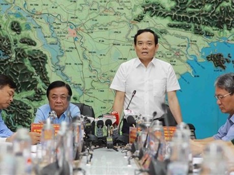 El viceprimer ministro Tran Luu Quang preside la reunión. (Fuente: VNA)