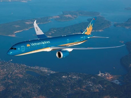 Un avión de Vietnam Airlines. (Foto: VNA)
