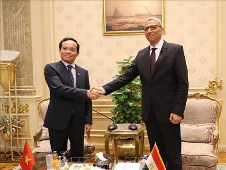 El viceprimer ministro vietnamita Tran Luu Quang y el primer vicepresidente de la Asamblea del Pueblo de ese país árabe, Ahmed Saad El-Din Mohamed Abd El-Rehim. (Foto: VNA)