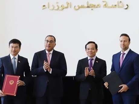 El viceprimer ministro vietnamita Tran Luu Quang y el primer ministro egipcio, Mostafa Madbouly, fueron testigos de la firma de un Memorando de Entendimiento sobre cooperación. (Foto: VNA)