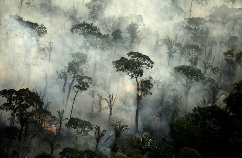 Incendio en una zona amazónica en 2019. (Imagen: REUTERS)