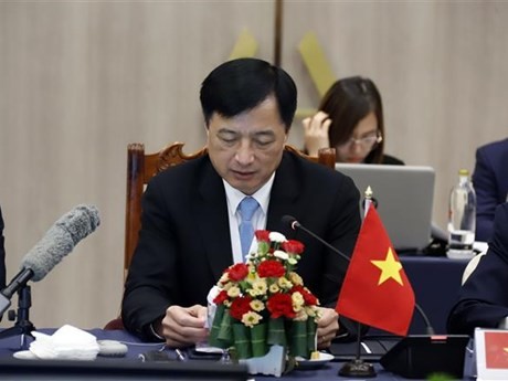 El viceministro vietnamita de Seguridad Pública Nguyen Duy Ngoc interviene en la VIII Reunión Ministerial de Asean sobre Drogas (AMMD8), efectuada en Laos. (Foto: VNA)