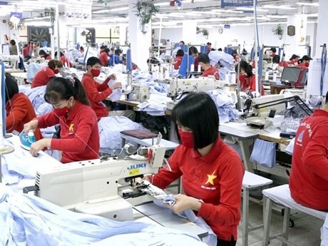 Trabajadores vietnamitas en Europa. (Foto: baodautu.vn)