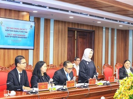 La delegación del Comité de Auditoría de Indonesia asiste al taller. (Foto: VNA)